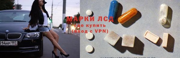 молекула духа Арсеньев