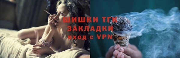 молекула духа Арсеньев
