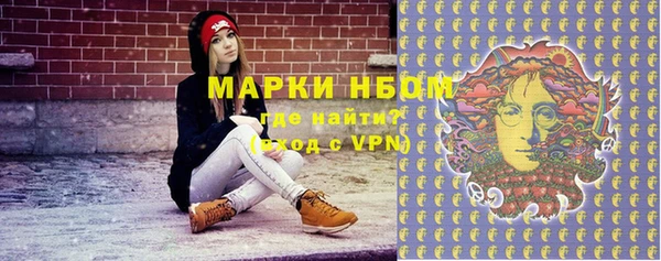 молекула духа Арсеньев