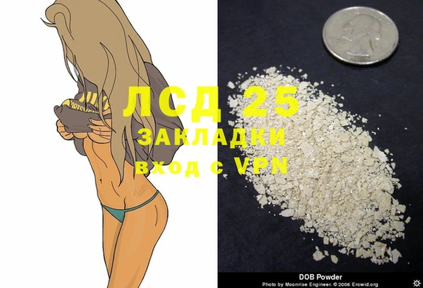 молекула духа Арсеньев