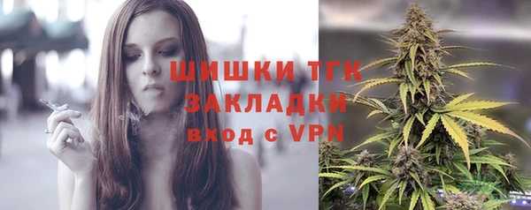 молекула духа Арсеньев